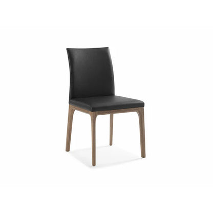 Whiteline Modern Living - Stella Dining Chair DC1454-WLT/BLK